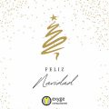 exyge feliz navidad