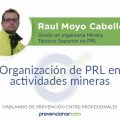 Organización de PRL en actividades mineras