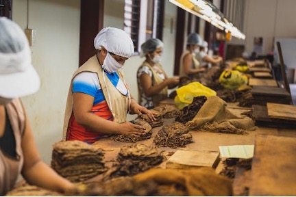 Desde comercios hasta fábricas, permanecer en bipedestación es parte esencial de la rutina diaria de muchos puestos de trabajo. Sin embargo, aunque permanecer de pie pueda parecer una tarea sencilla, realizada de manera ininterrumpida durante largos periodos, puede implicar riesgos para la salud. El motivo es que, si bien el óptimo funcionamiento de la fisiología humana requiere una importante dosis de movimientos corporales variados, también es necesario intercalar periodos de pausa que permitan la recuperación de las estructuras implicadas. En prevención de riesgos laborales, se distingue entre dos tipos de bipedestación: - Bipedestación dinámica: son puestos de trabajo en que son posibles los desplazamientos o bien se tiene la posibilidad de alternar con sedestación. - Bipedestación estática: son puestos de trabajo en los se debe permanecer de pie y quieto o con desplazamientos muy cortos. La bipedestación dinámica es ventajosa frente a la estática, especialmente cuando es posible la deambulación, ya se permite la activación de la musculatura y facilita el retorno venoso de las extremidades inferiores. En cualquier caso, los principales riesgos asociados a trabajos en bipedestación prolongada, ya sea dinámica o estática, son: