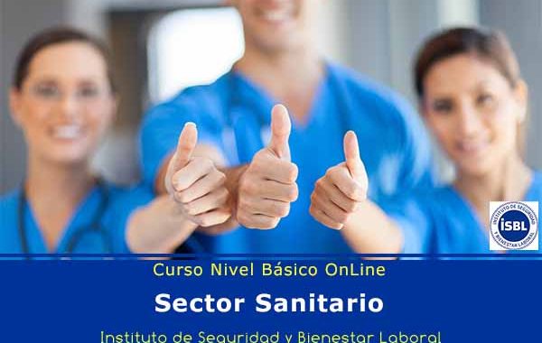 Curso de Nivel Básico: Sector Sanitario
