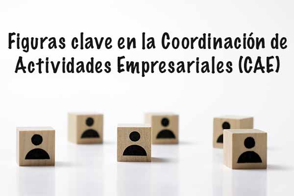 Figuras clave en la Coordinación de Actividades Empresariales (CAE)