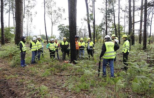La Xunta apuesta por la formación para prevenir los riesgos laborales en las labores de aprovechamiento forestal