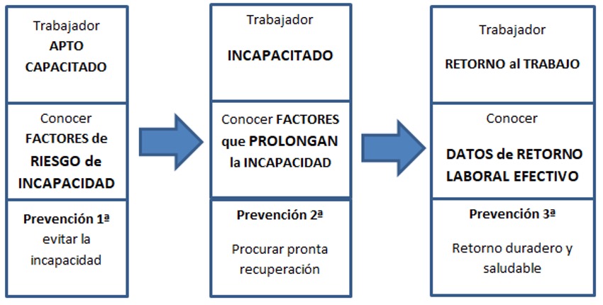                                          Visión Preventiva de la Incapacidad Laboral        