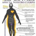 como afecta el estrés a nuestro cuerpo