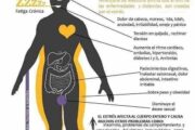 Cómo afecta el estrés a nuestro cuerpo