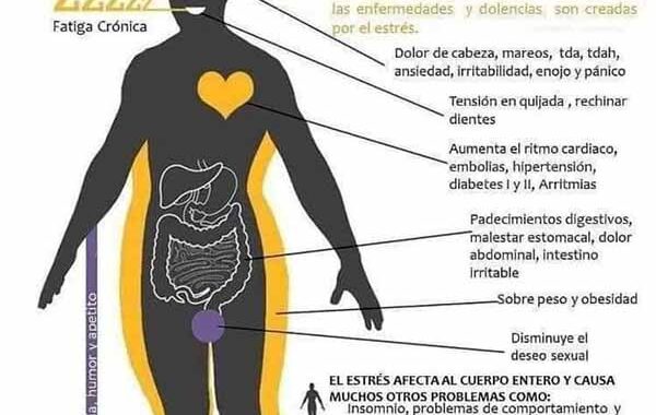 Cómo afecta el estrés a nuestro cuerpo