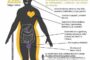 Cómo afecta el estrés a nuestro cuerpo
