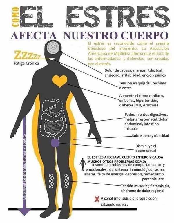 Cómo afecta el estrés a nuestro cuerpo