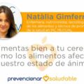 ¿Alimentas bien a tu cerebro? Cómo los alimentos afectan nuestro estado de ánimo