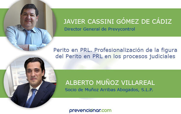 Perito en PRL. Profesionalización de la figura del Perito en PRL en los procesos judiciales