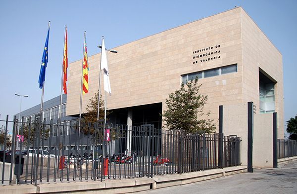 IBV