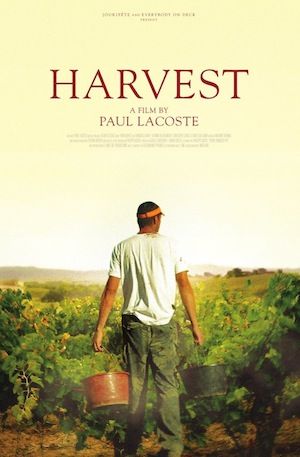 Vendimia ganadora del Galardón Cinematográfico “Lugares de Trabajo Saludables” de 2014